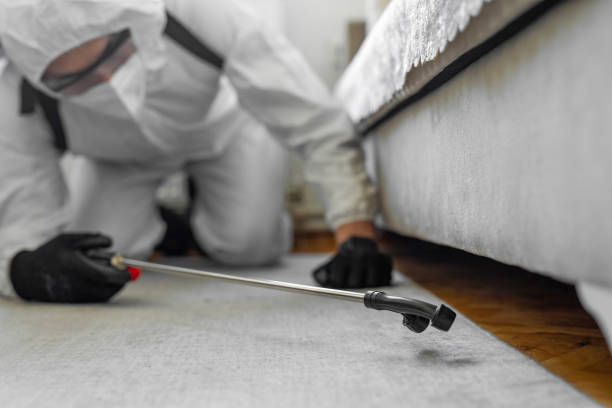 Professional Cockroach Control technician working in Marinette, WI