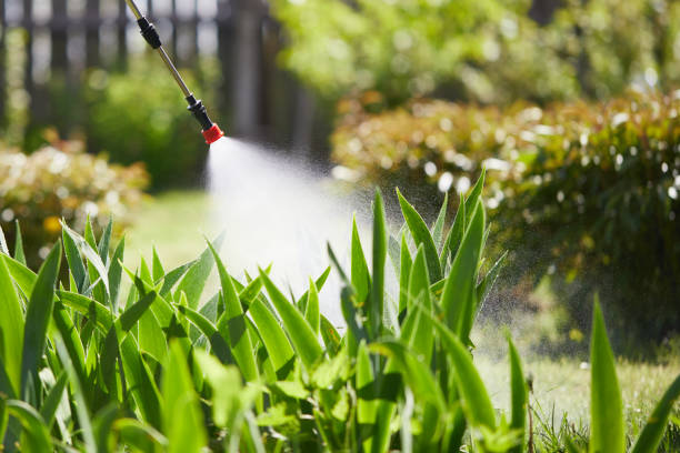 24/7 Emergency Cockroach Control experts in Marinette, WI