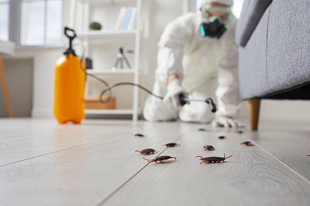 Trusted Cockroach Control service in Marinette, WI - Nex Pest Control