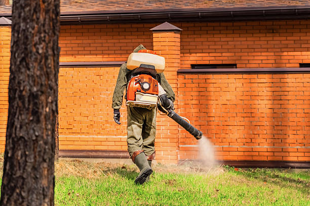 Trusted Rodent Control service in Marinette, WI - Nex Pest Control